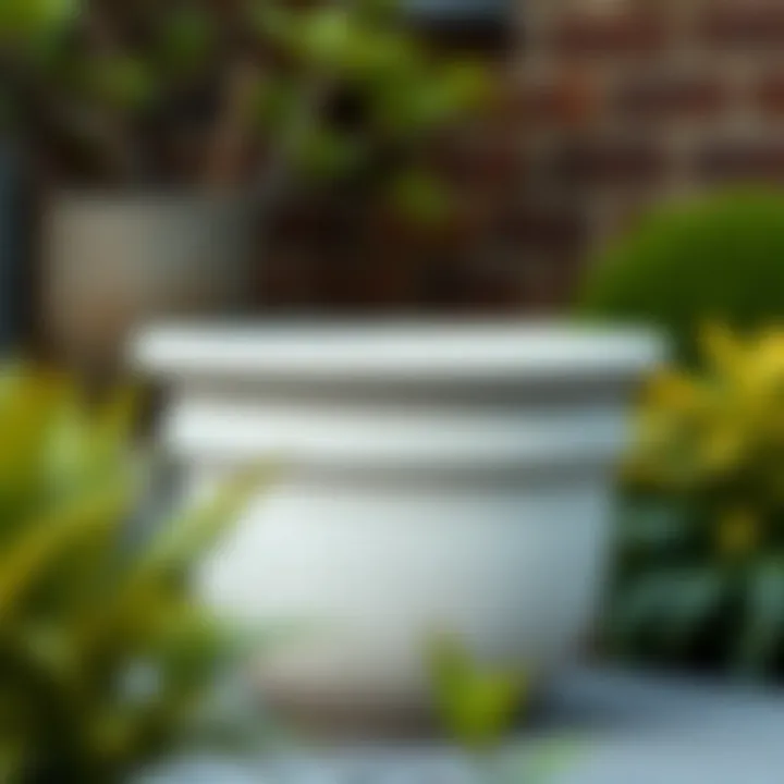 Magnificent Concrete Garden Pots: A Comprehensive Guide to Style and Functionality