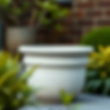 Magnificent Concrete Garden Pots: A Comprehensive Guide to Style and Functionality Magnificent Concrete Garden Pots: A Comprehensive Guide to Style and Functionality