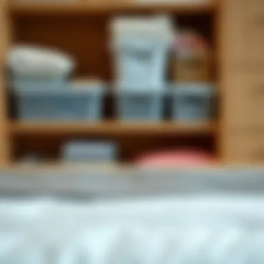 Magnificent Exploring Amazon Drawer Organizers for Bedroom Efficiency