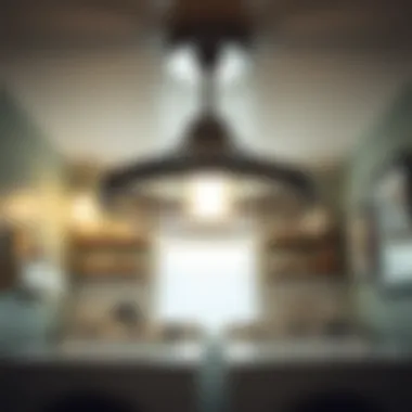 Magnificent Exploring Ceiling Light Fixtures for Laundry Rooms Magnificent Exploring Ceiling Light Fixtures for Laundry Rooms