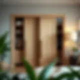 Comprehensive Guide to MDF Sliding Closet Doors Introduction