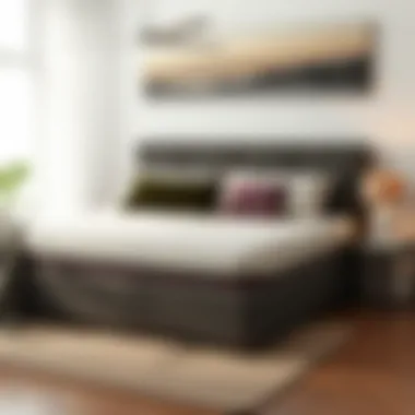 Notable Comprehensive Guide to Zippered Mattress Covers for Queen Beds