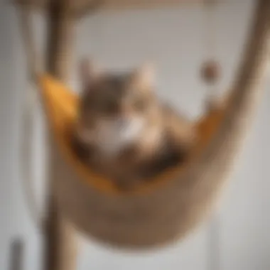 Close-up of durable materials used in a cat tree with hammock