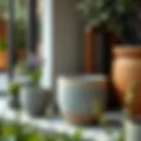 Concrete Garden Pots: A Comprehensive Guide to Style and Functionality Introduction
