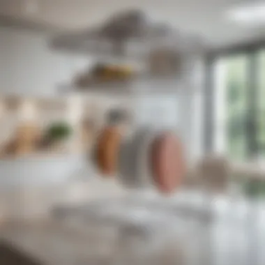 Innovative use of countertop drying racks in modern kitchens