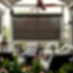 Examining Screen Porch Patio Shades: A Comprehensive Guide Introduction