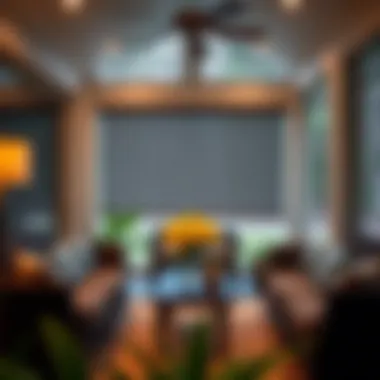 Notable Examining Screen Porch Patio Shades: A Comprehensive Guide