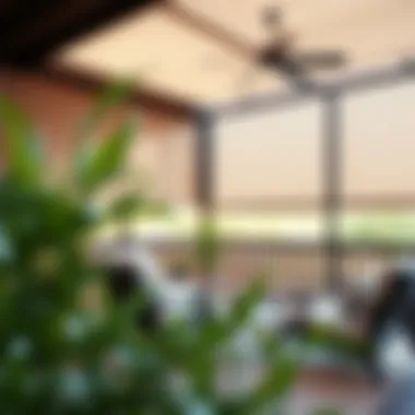 Examining Screen Porch Patio Shades: A Comprehensive Guide Summary