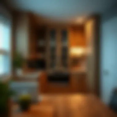 Notable Exploring Cabinets to Go: An In-depth Look at Pantry Solutions Notable Exploring Cabinets to Go: An In-depth Look at Pantry Solutions