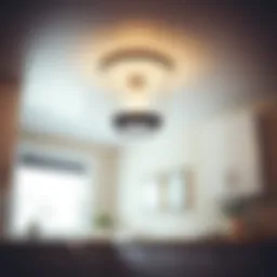 Exploring Ceiling Light Fixtures for Laundry Rooms Introduction