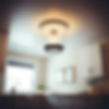 Exploring Ceiling Light Fixtures for Laundry Rooms Introduction Exploring Ceiling Light Fixtures for Laundry Rooms Introduction