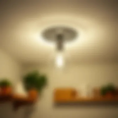Notable Exploring Ceiling Light Fixtures for Laundry Rooms Notable Exploring Ceiling Light Fixtures for Laundry Rooms