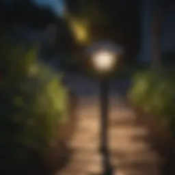 Solar yard light illuminating a garden pathway at night