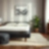 Exploring Memory Foam Mattress Toppers Introduction