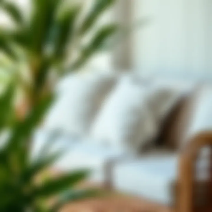 Notable Exploring Sunbrella Cushions with Ties: A Comprehensive Guide