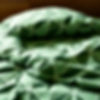 Notable Exploring the Aesthetic and Functional Qualities of Green Patterned Duvet Covers