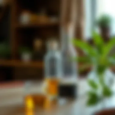 Exploring the Oil and Vinegar Bottle Set: Functionality Meets Aesthetics Summary Exploring the Oil and Vinegar Bottle Set: Functionality Meets Aesthetics Summary