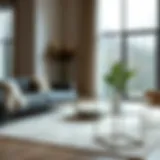 Exploring the Versatility of 3 by 5 Area Rugs Introduction