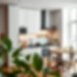 Innovative Ideas for Small Apartment Kitchens Introduction