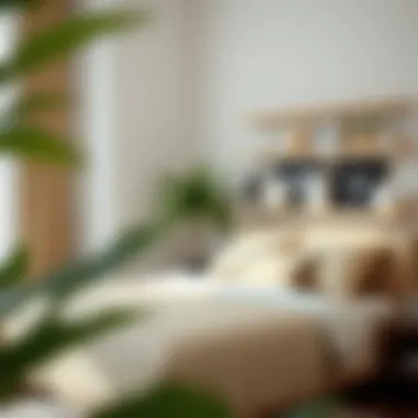 Notable Maximizing Space: King Size Bed Clearance Insights