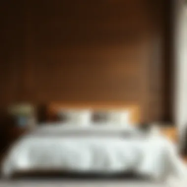 Maximizing Space: King Size Bed Clearance Insights Summary Maximizing Space: King Size Bed Clearance Insights Summary