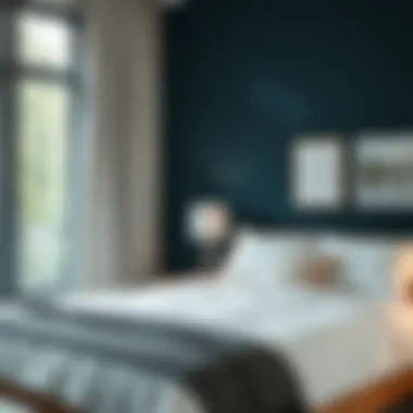 Maximizing the Potential of a Small Bedroom Summary Maximizing the Potential of a Small Bedroom Summary