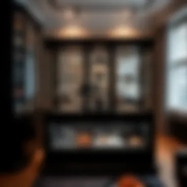 The Art of Showcasing: Black Shot Glass Display Cases Summary