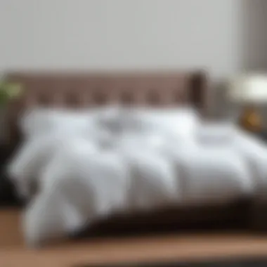 Notable The Comprehensive Guide to Faux Down Comforters for King-Sized Beds Notable The Comprehensive Guide to Faux Down Comforters for King-Sized Beds