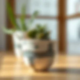 The Intricacies of Ceramic Self-Watering Flower Pots Introduction