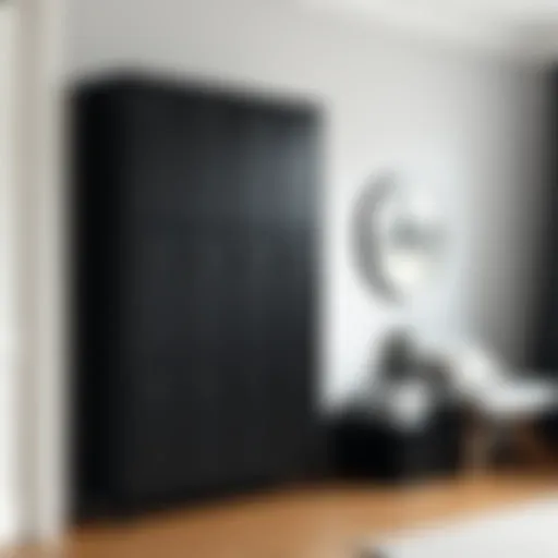 The Multifaceted Role of Black Storage Lockers in Modern Interiors Introduction