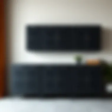 Notable The Multifaceted Role of Black Storage Lockers in Modern Interiors Notable The Multifaceted Role of Black Storage Lockers in Modern Interiors