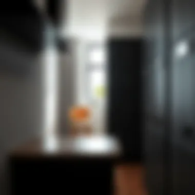 The Multifaceted Role of Black Storage Lockers in Modern Interiors Summary The Multifaceted Role of Black Storage Lockers in Modern Interiors Summary